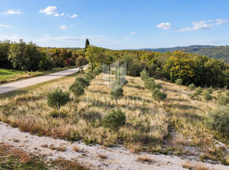 Buje, Kaštel, savršeno zemljište 553 m2 blizu granice! — fotografija 6