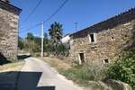 ISTRA,PIĆAN, starina u fazi adaptacije