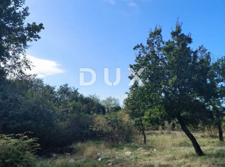 Istra, Umag, zemljište, 3551 m2, gospodarsko proizvodna namjena — fotografija 3
