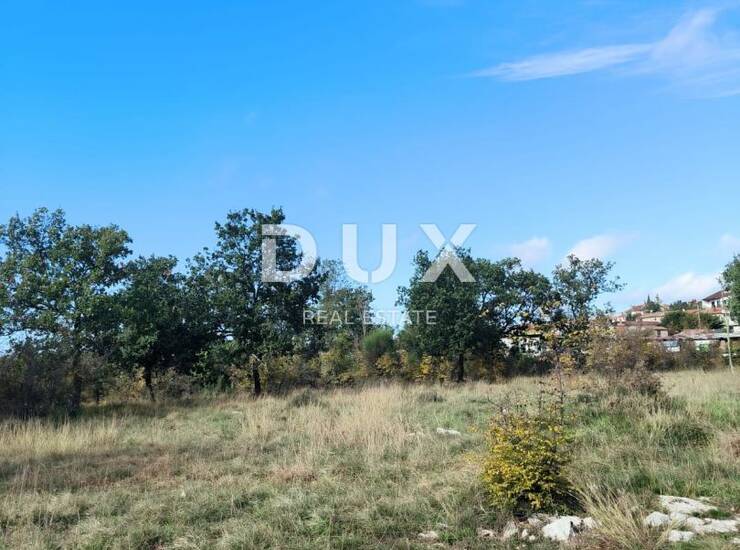 Istra, Umag, zemljište, 3551 m2, gospodarsko proizvodna namjena — fotografija 4