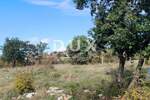 Istra, Umag, zemljište, 3551 m2, gospodarsko proizvodna namjena — fotografija 6