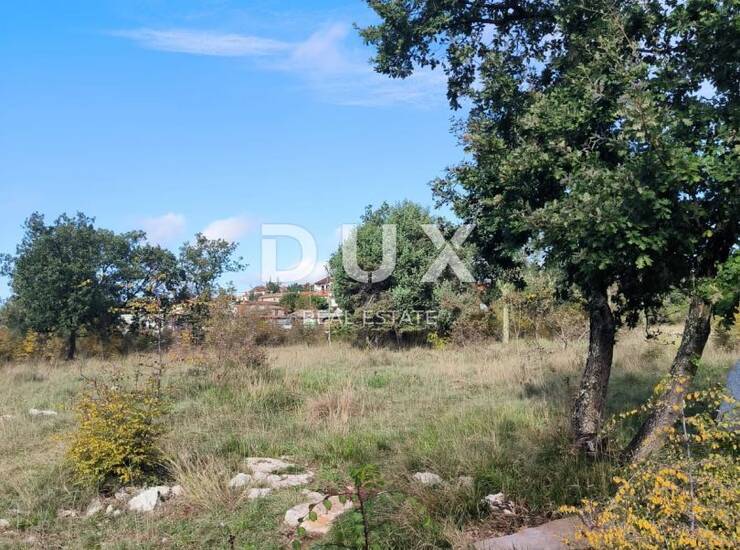 Istra, Umag, zemljište, 3551 m2, gospodarsko proizvodna namjena — fotografija 6