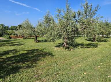 Zemljiste Kaštelir, Kaštelir-Labinci 677m² - 176.000 € | SveHrNekretnine