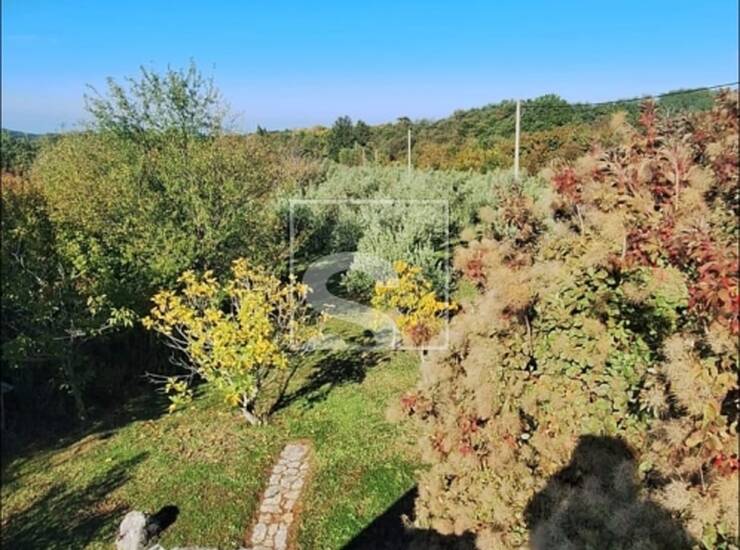 ZEMLJIŠTE 1.631 m² S KAMENOM KUĆOM I MASLINIKOM — fotografija 5