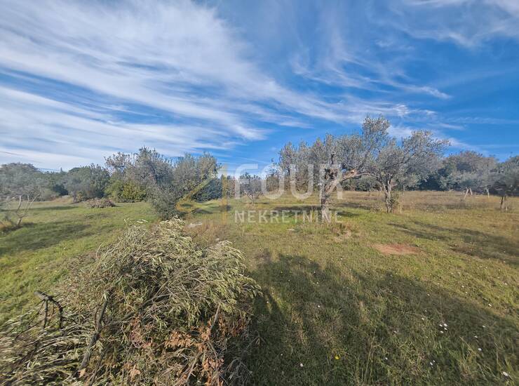 Istra, Pula - Šijana, građevinsko zemljište — fotografija 2