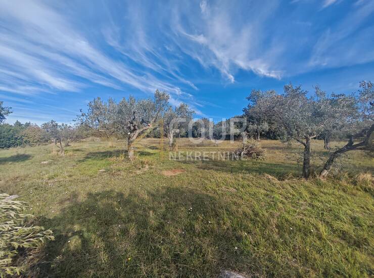 Istra, Pula - Šijana, građevinsko zemljište — fotografija 3