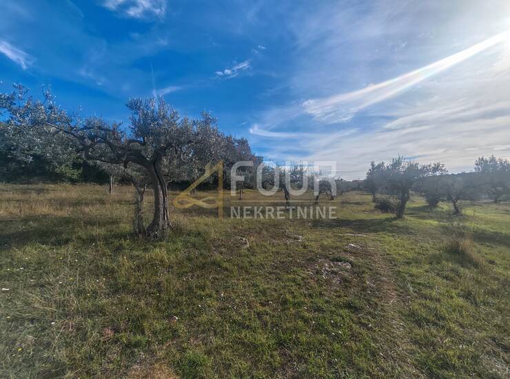 Istra, Pula - Šijana, građevinsko zemljište — fotografija 4