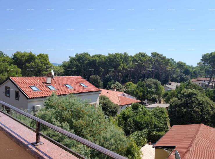 Na izvrsnoj lokaciji u Premanturi, odmah uz borovu šumu i svega 100 metara... — fotografija 3