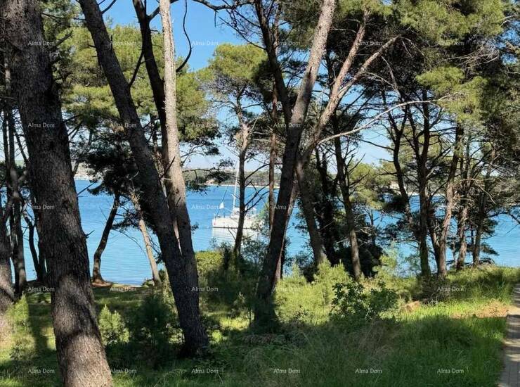 Na izvrsnoj lokaciji u Premanturi, odmah uz borovu šumu i svega 100 metara... — fotografija 5