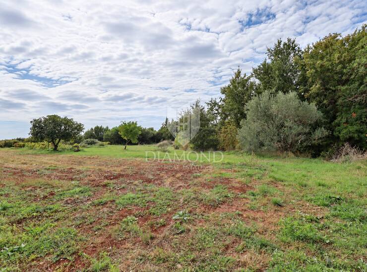 Sveti Lovreč , građevinska parcela za kuću za odmor ili investiciju — fotografija 3