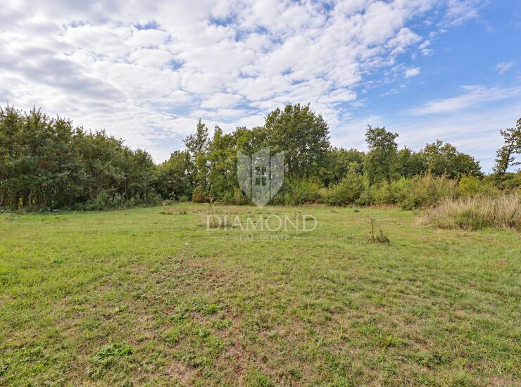Sveti Lovreč okolica zemljište s pogledom na šumu