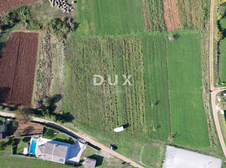 Istra, Barban, zemljište, 4.464 m², dozvola za gradnju