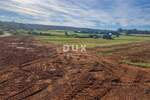 Istra, Barban, zemljište, 4.464 m², dozvola za gradnju — fotografija 5