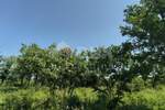 Zemljiste, Vodnjan, Peroj, prodaja, 32000 €, 606 m2