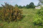 Zemljiste, Medulin, prodaja, 64800 €, 624 m2