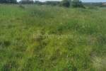 Zemljiste, Medulin, prodaja, 64800 €, 624 m2