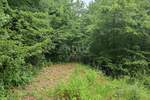Zemljiste, Klana, prodaja, 450000 €, 6500 m2