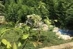 Kuca, Pula, Veruda, prodaja, 860000 €, 374 m2