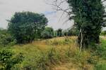 Zemljiste, Poreč, prodaja, 89000 €, 932 m2