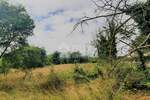 Zemljiste, Poreč, prodaja, 89000 €, 932 m2