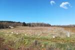 Zemljiste, Poreč, Mugeba, prodaja, 110000 €, 7072 m2