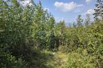 Zemljiste, Dobrinj, Šilo, prodaja, 315000 €, 3609 m2