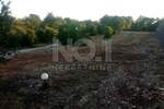 Zemljiste, Svetvinčenat, prodaja, 480000 €, 27000 m2