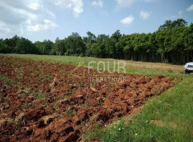 Zemljiste, Svetvinčenat, prodaja, 48000 €, 3820 m2