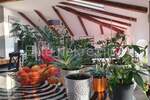 Stan, Rijeka, Istok, prodaja, 494500 €, 136 m2