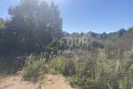 Kuca, Tinjan, prodaja, 500000 €, 125 m2