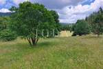 Zemljiste, Vinodol, Bribir, prodaja, 37000 €, 3534 m2
