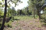 Zemljiste, Marčana, Rakalj, prodaja, 208000 €, 3000 m2