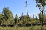 Zemljiste, Marčana, Rakalj, prodaja, 208000 €, 3000 m2