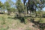 Zemljiste, Marčana, Rakalj, prodaja, 208000 €, 3000 m2