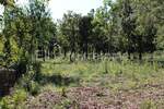 Zemljiste, Marčana, Rakalj, prodaja, 208000 €, 3000 m2