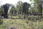 Zemljiste, Marčana, Rakalj, prodaja, 208000 €, 3000 m2