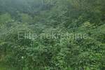 Zemljiste, Lupoglav, prodaja, 403000 €, 26847 m2