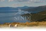 Zemljiste, Cres, Stivan, prodaja, 359000 €, 163000 m2