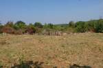 Zemljiste, Kanfanar, Mrgani, prodaja, 615000 €, 8599 m2