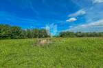 Zemljiste, Novigrad, prodaja, 385000 €, 4128 m2