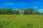 Zemljiste, Novigrad, prodaja, 385000 €, 4128 m2