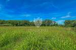 Zemljiste, Novigrad, prodaja, 385000 €, 4128 m2
