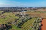 Zemljiste, Rovinj, prodaja, 290000 €, 4471 m2