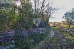 Zemljiste, Rovinj, prodaja, 290000 €, 4471 m2