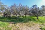 Zemljiste, Rovinj, prodaja, 290000 €, 4471 m2