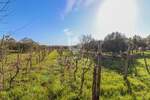 Zemljiste, Rovinj, prodaja, 290000 €, 4471 m2