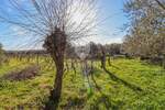 Zemljiste, Rovinj, prodaja, 290000 €, 4471 m2