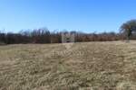 Zemljiste, Žminj, prodaja, 398200 €, 6436 m2