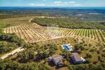 Kuca, Bale, prodaja, 780000 €, 115 m2