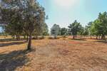 Kuca, Rovinj, prodaja, 246000 €, 31 m2